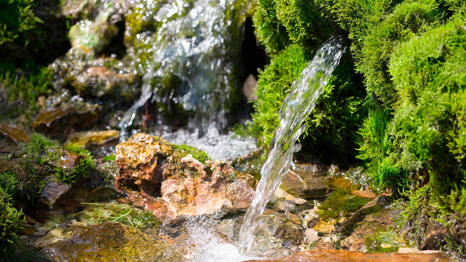 Fuente Natural de Agua